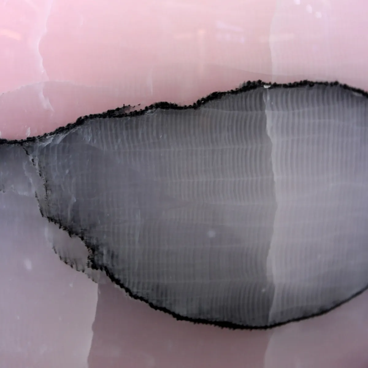 Twilight Petal image 2